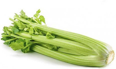 ENTENT Organic Celery-Tall Utah Seed(50 per packet)