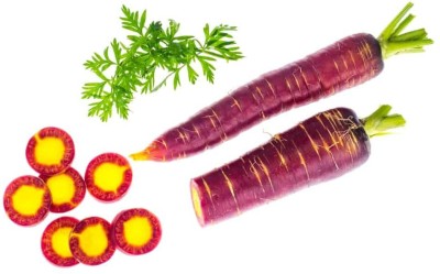 CYBEXIS Magno Imported Carrot Variety1000 Seeds Seed(1000 per packet)