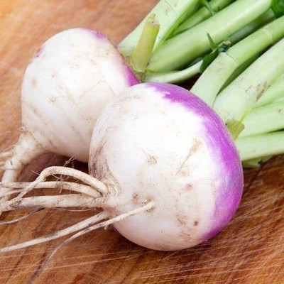 CRGO TURNIP , SHALGAM Seed(100 per packet)