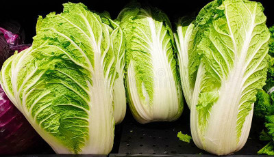 XOLDA Organic Chines cabbage Seed(15 per packet)