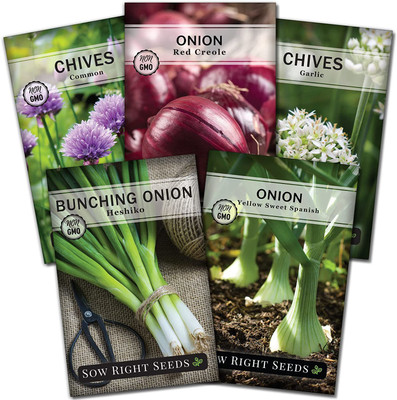 VibeX ® RXI-200 Multicolor Onion Seed Mix Seed(1000 per packet)