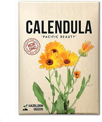 Biosnyg YIX-42 Calendula-[200 Seeds] Seed(200 per packet)