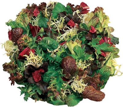 WILLVINE XLL-632 Classic Mix Mesclun Seeds Seed(200 per packet)