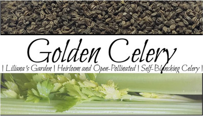 CYBEXIS XLR-40 - Celery “Golden” - (250 Seeds) Seed(250 per packet)