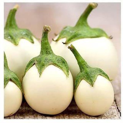 KANAYA Brinjal White Round Eggplant Hybrid Seed(16 per packet)