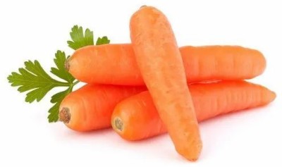 KNESSiN VIX-74 Carrot Redhild Seed(1000 per packet)