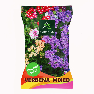AGRO MILL VERBENA/VERVAIN MULTIFLORA MIXED PREMIUM QUALITY FLOWER Seed(50 per packet)