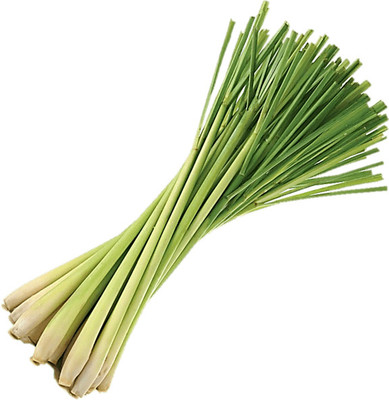 Mozette Hybrid lemon Grass Seed(60 per packet)