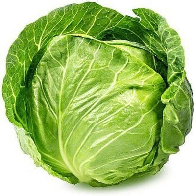 WILLVINE AGRI -IV Pride of India F1 Hybrid Cabbage Seeds [5g] Seed(1500 per packet)