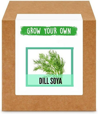 CYBEXIS Dill/Soya2800 Seeds Seed(2800 per packet)