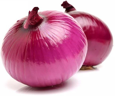 Quentova Red Burgundy Onion-RJ-5N Seed(250 per packet)