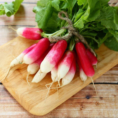 WILLVINE GBPUT-727 Finger Red Cherry Radish Seeds Seed(500 per packet)