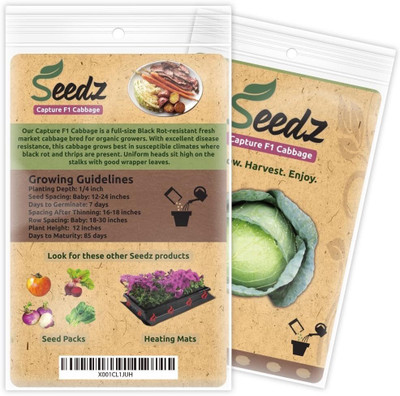 WILLVINE HAR -XVI Capture F1 Cabbage Seeds [5g] Seed(1500 per packet)