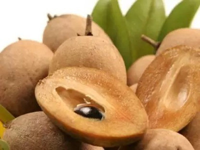 Aro Chikoo, Sapota, Chiku Seed(29 per packet)