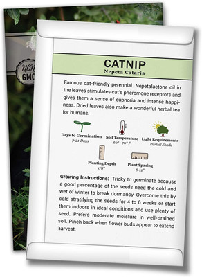 WILLVINE F1 Hybrid Catnip Seeds Seed(2000 per packet)