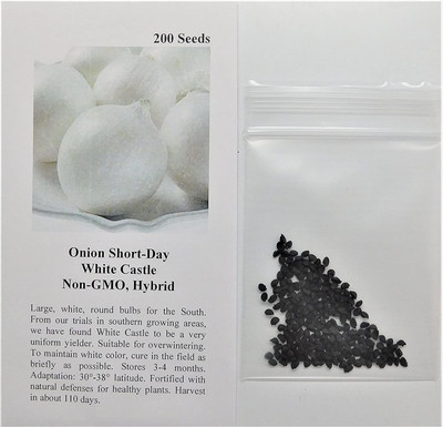 VibeX NBIR-25 - Onion Short-Day White Castle - (1500 Seeds) Seed(1500 per packet)