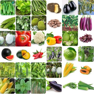 abiswas 40 Variety Of Vegetable Seeds Combo Pack With Instruction Manual Seed(1100 per packet)