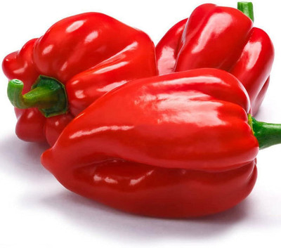 KNESSiN Chilli Scorpion Hot Pepper Seed(1250 per packet)