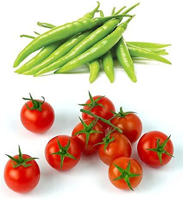 WILLVINE AMR -XI Vegetable seeds Green Chilli and Tomato[10gm, 2000 Seeds] Seed(2000 per packet)