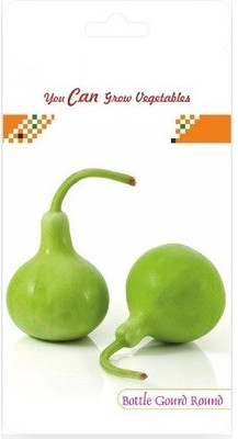 CYBEXIS Hybrid Bottle Gourd Round Seeds100 Seeds Seed(100 per packet)
