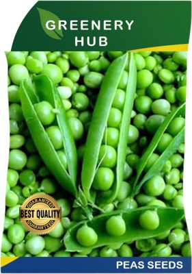 Greenery Hub Premium Garden Pea Seeds for Vibrant Harvests Seed(50 per packet)