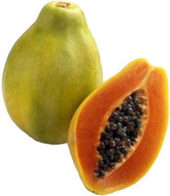 Farmonix Papaya Seeds Dwarf Variety Seed(500 per packet)
