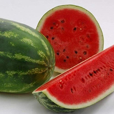 CYBEXIS ATS-33 - Watermelon Alibaba Giant Mix - (450 Seeds) Seed(450 per packet)