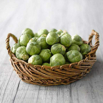 CYBEXIS Brussels Sprouts Seeds 2000 Seeds Seed(2000 per packet)