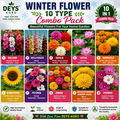 DEYS AGRO flower seeds for winter 10 varieties Seed(1012 per packet)
