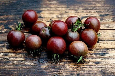 Biosnyg Hybrid Black Cherry Tomato Seeds For Kitchen Gardening - (2000 Seeds) Seed(2000 per packet)