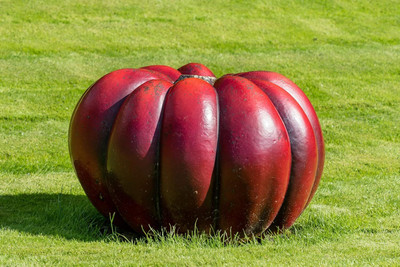 KNESSiN Abundant Yield Vivid Red Pumpkin (60 Seeds) Seed(60 per packet)