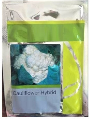 WILLVINE ROX -IV Hybrid Cauliflower Vegetable For Home Garden[25g, 7500 Seeds] Seed(7500 per packet)