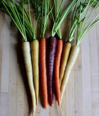 Qualtivate HUA-8A Rainbow Carrot for Planting Seed(300 per packet)