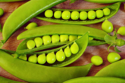 Qualtivate GBPT-1A Sugar Snap Pea for Planting Seed(200 per packet)
