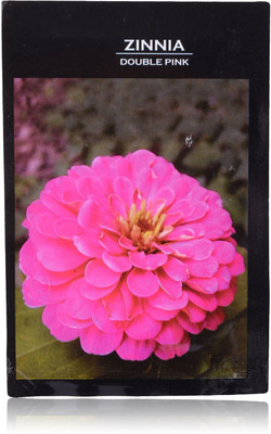CYBEXIS Zinnia Double Pink Premium Seeds Seed(25 per packet)