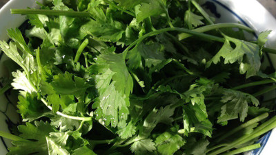 Avysa Organic Cilantro/Coriander Seed(1000 per packet)
