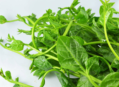 BISWAS Malabar Spinach, Poi Saag, Pui Saag Seed(150 per packet)