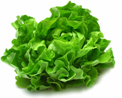 XOLDA Organic lettuce curly Seed(15 per packet)