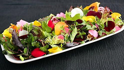 Qualtivate NBIR-843 This is a Mix!Microgreens Mix 40 Varieties Seed(200 per packet)