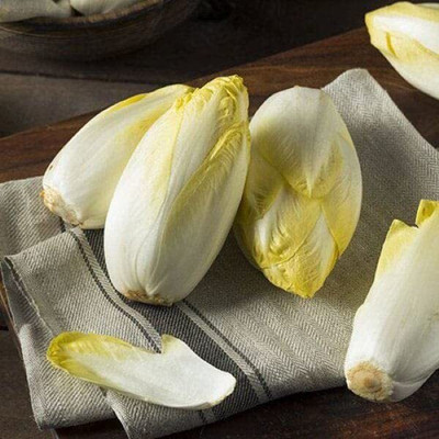 WILLVINE KGF -VIII Chinese Cabbage Veg Seeds [25g] Seed(7500 per packet)