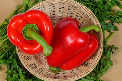ActrovaX Seeds @ Capsicum/Bell Pepper Red F-1 Hybrid [2000 Seeds] Seed(2000 per packet)