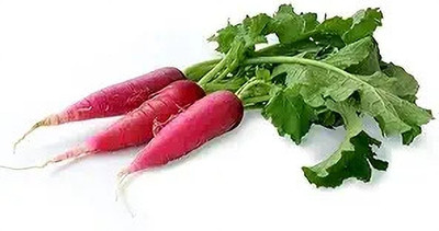 LPR MULI ,WHITE RADISH Seed(40 per packet)