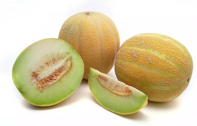 PLUSGREEN Muskmelon sweet honeydew fruit Seed(100 per packet)