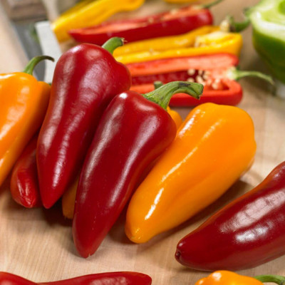 KNESSiN Easy to Grow Pillar Trio Capsicum Seeds for Terrace Gardening-(100 Seeds) Seed(100 per packet)