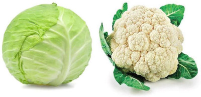 PSAgroinput Cauliflower (Phool Gobhi) Cabbage (Patta Gobhi) Seed(100 g)