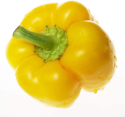 CYBEXIS Hybrid Yellow Capsicum Seeds2400 Seeds Seed(2400 per packet)