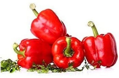 CYBEXIS PUAS-94 - Red Wonder Capsicum/bellpepper - (1350 Seeds) Seed(1350 per packet)