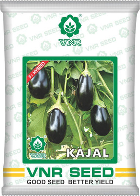 VNR Fresh Chilly (Mirch) Hybrid Vegetable original Seed(100 per packet)