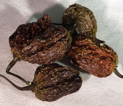 Biosnyg Fast Growing Bhutlah Ultra Hot Pepper Seeds For Kitchen Gardening-(4000 Seeds) Seed(4000 per packet)