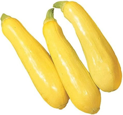 CYBEXIS Zucchini Seeds Golden Rare Variety400 Seeds Seed(400 per packet)